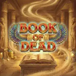 Book of Dead game at Joe Fortune Casino for Australian players